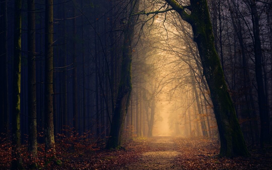 LA NOCHE OSCURA DEL ALMA ¿Qué es? ¿Cómo se la siente? 